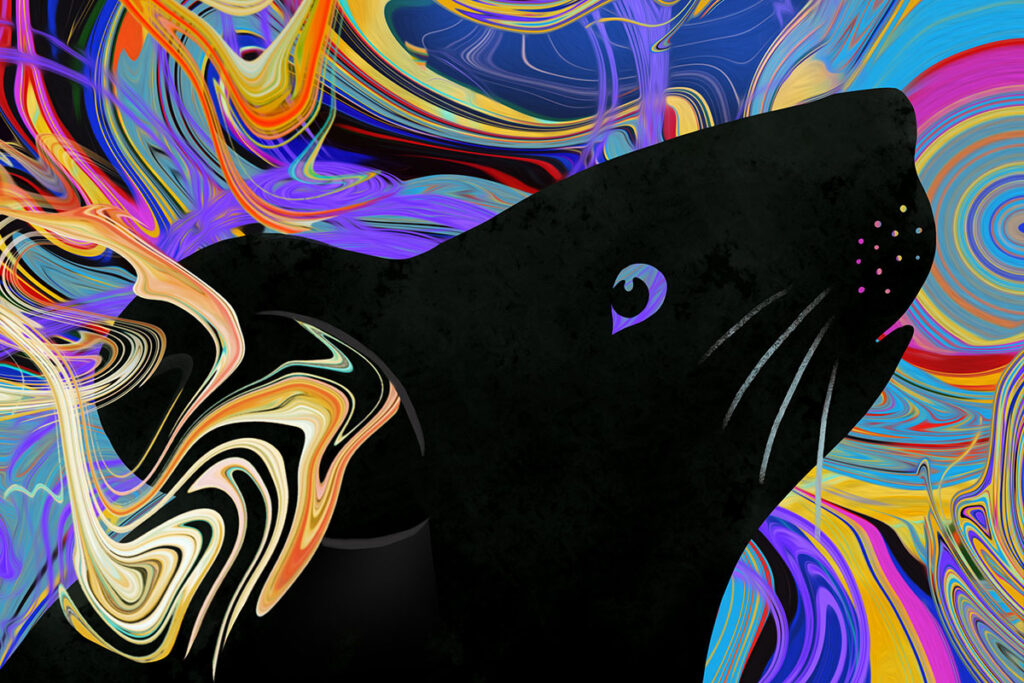 a drawing of a black mouse in profile with swirls of color in the background