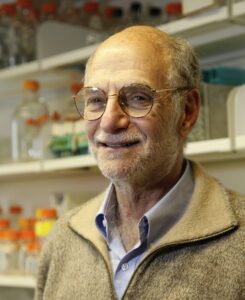 Michael Rosbash is a man with short gray hair and wearing glasses.