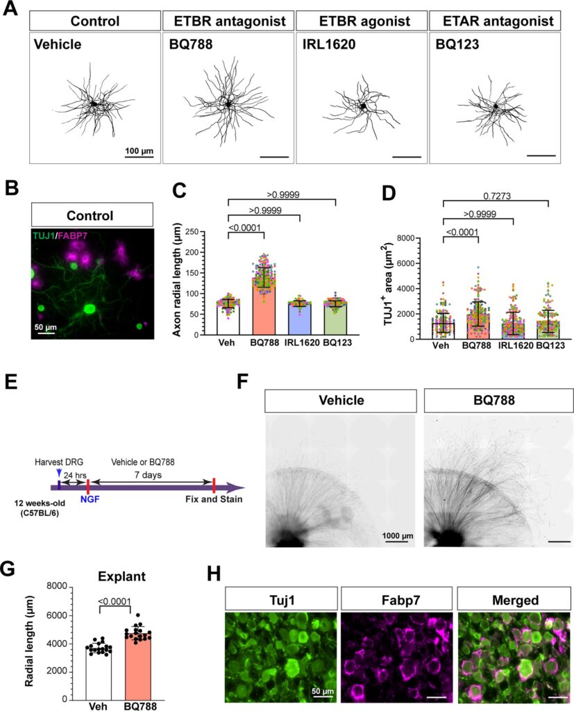 Image shows testing from the Cavalli Lab represented by different bar graphs.