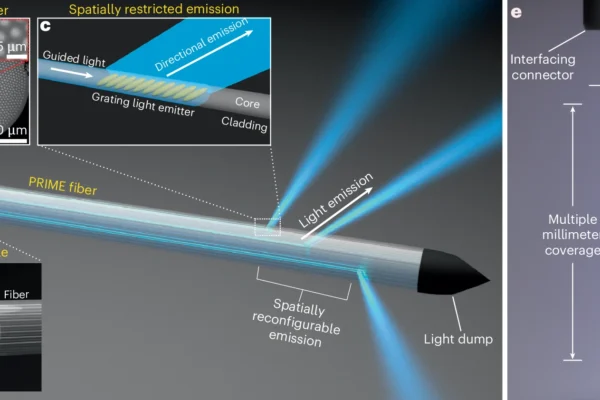 Laser-engineered PRIME fiber for panoramic reconfigurable control of neural activity