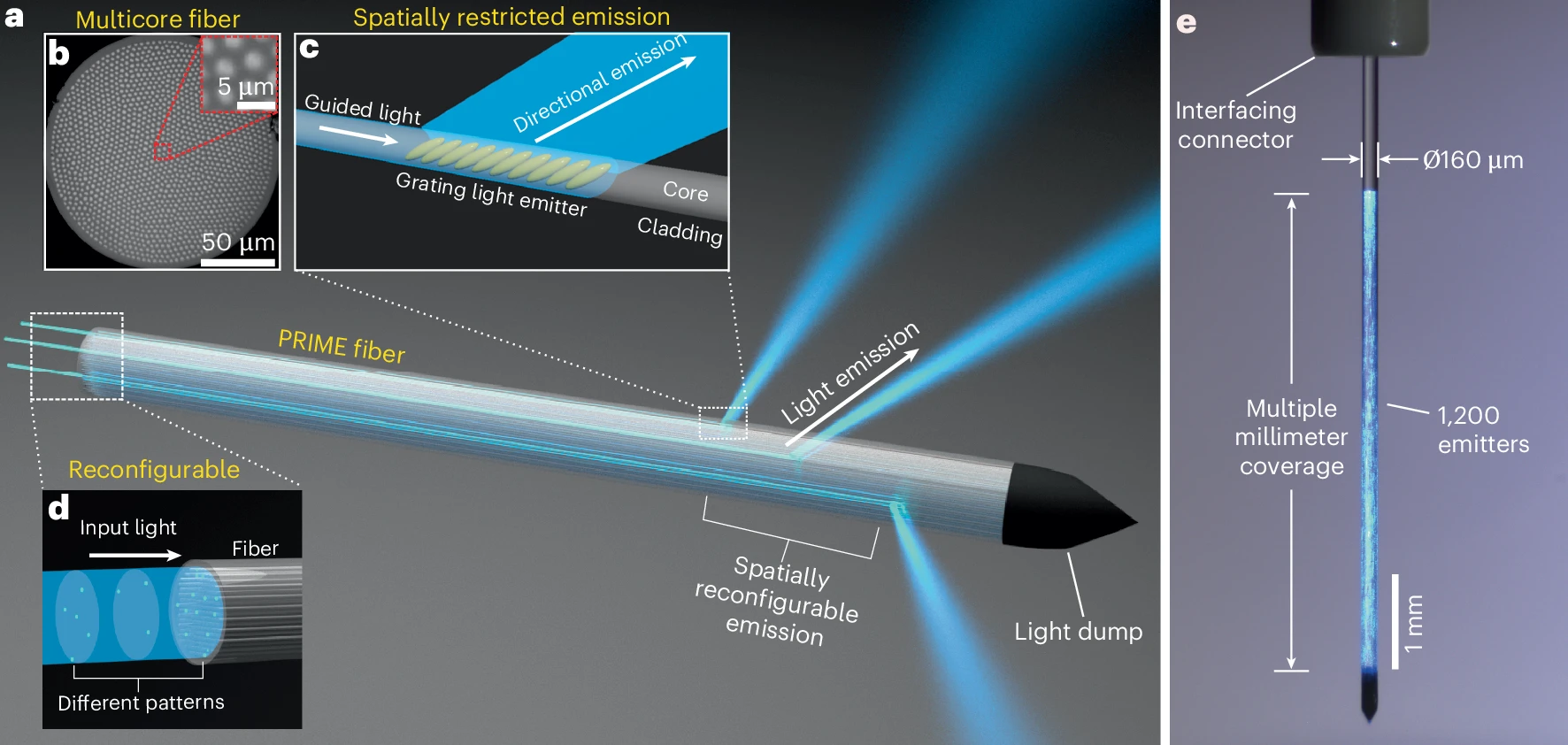Laser-engineered PRIME fiber for panoramic reconfigurable control of neural activity