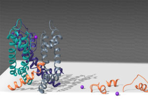 illustration of parts of a protein in green, purple, orange and gray on a gray background
