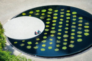 hope plaza reflecting pool with lily pads and two students sitting nearby