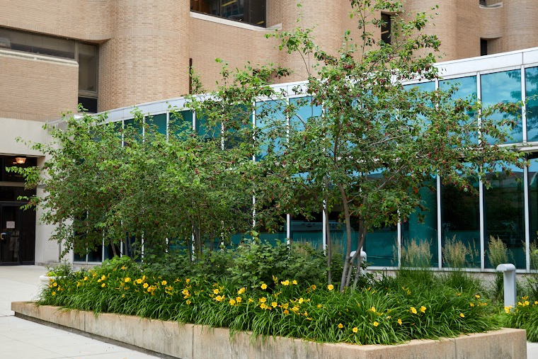 McDonnell Medical Sciences Building