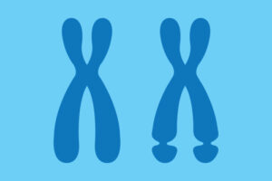 illustration of blue chromosomes on blue background