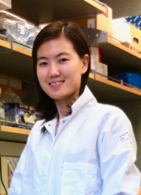 Xiaoying Chen, PhD